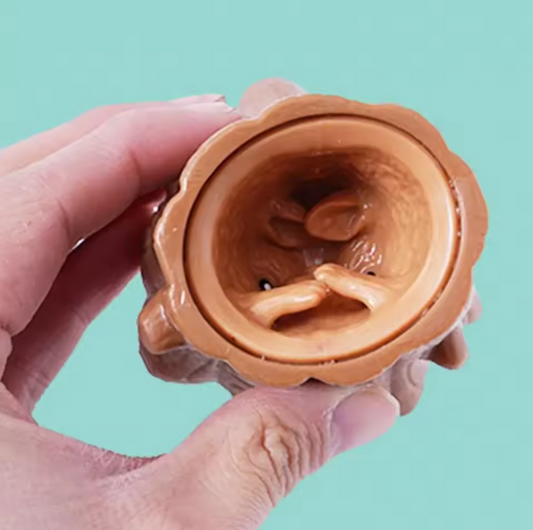 DREAMIX POPUP SQUIRREL